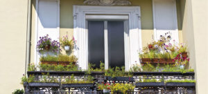 exterieur-fleurs-fenetre-volets-roulants